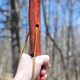 Illustration for article titled made a walking stick